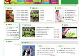 沈陽網站建設與設計 打造專業在線形象，驅動企業數字增長